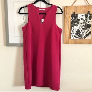 Fuchsia Mango Shift Dress